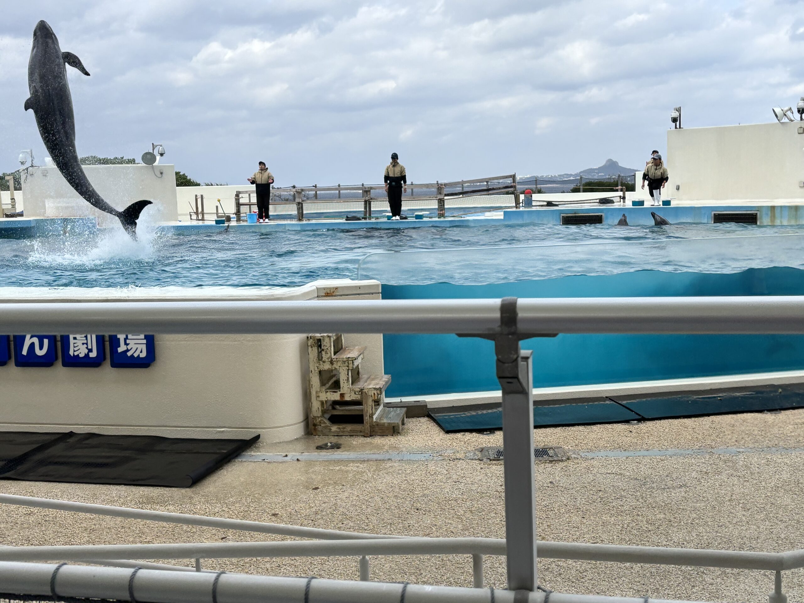 再開した「オキちゃん劇場」！！ 沖縄双子レポートvol9（2024） | 海と